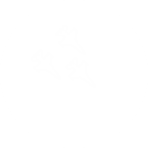 3Jets_80RND