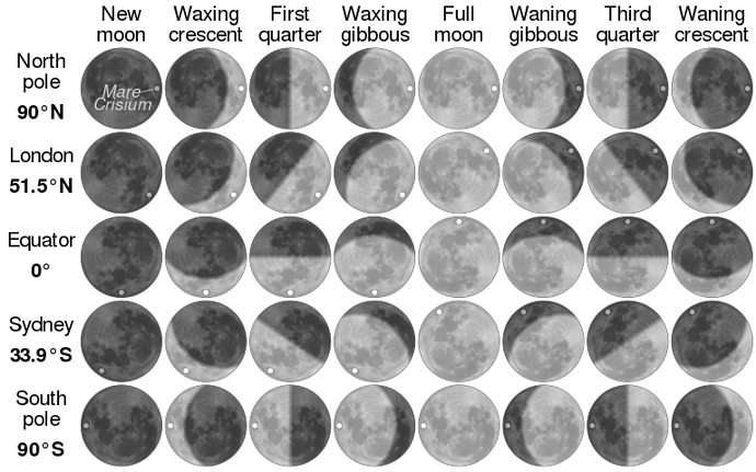 768px-Moon_phases_by_latitude.svg