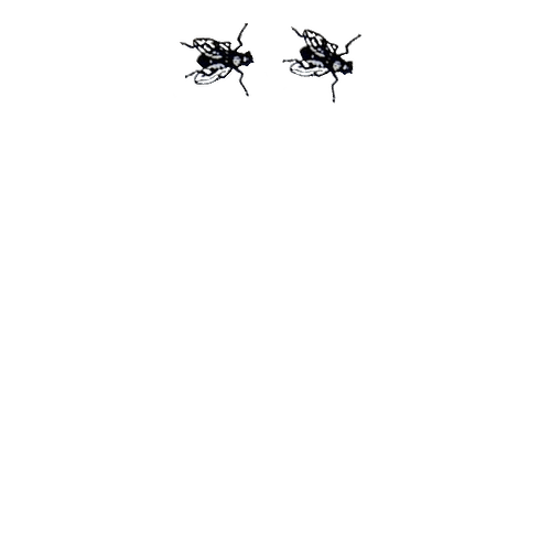 flysec