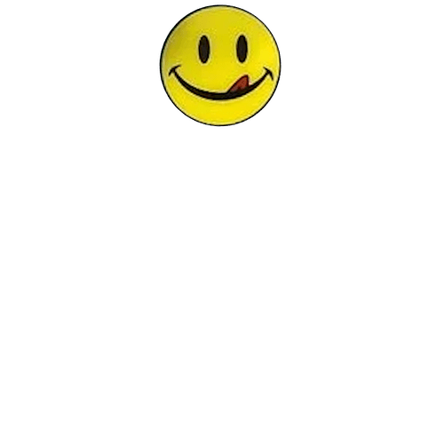 smile3479sec