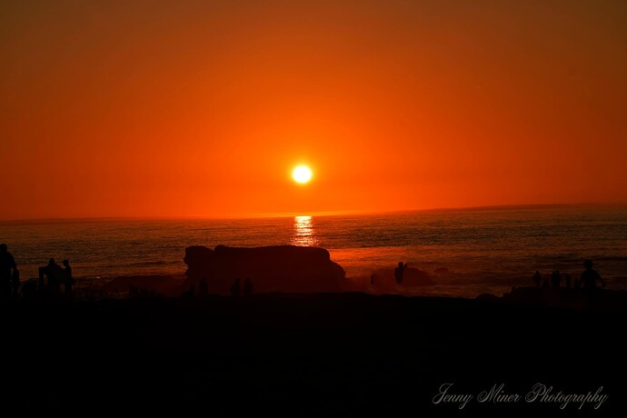 _DSC0099 copy