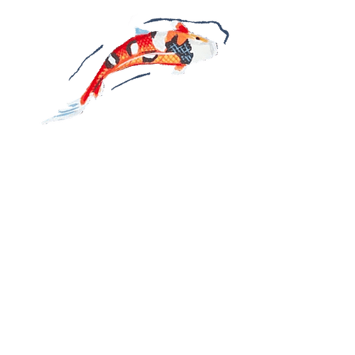 fishhr