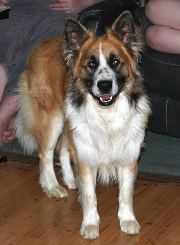 floofy muppet 6.2025