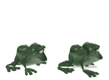 Leap Frog Gif 01